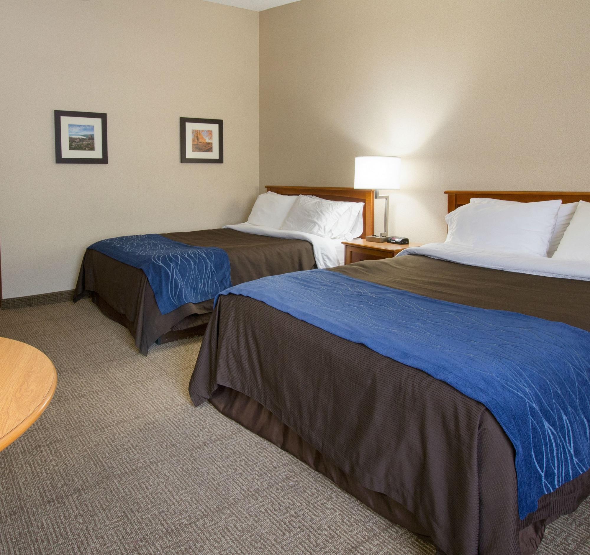 Comfort Inn & Suites Syracuse-Carrier Circle East Syracuse Exterior foto