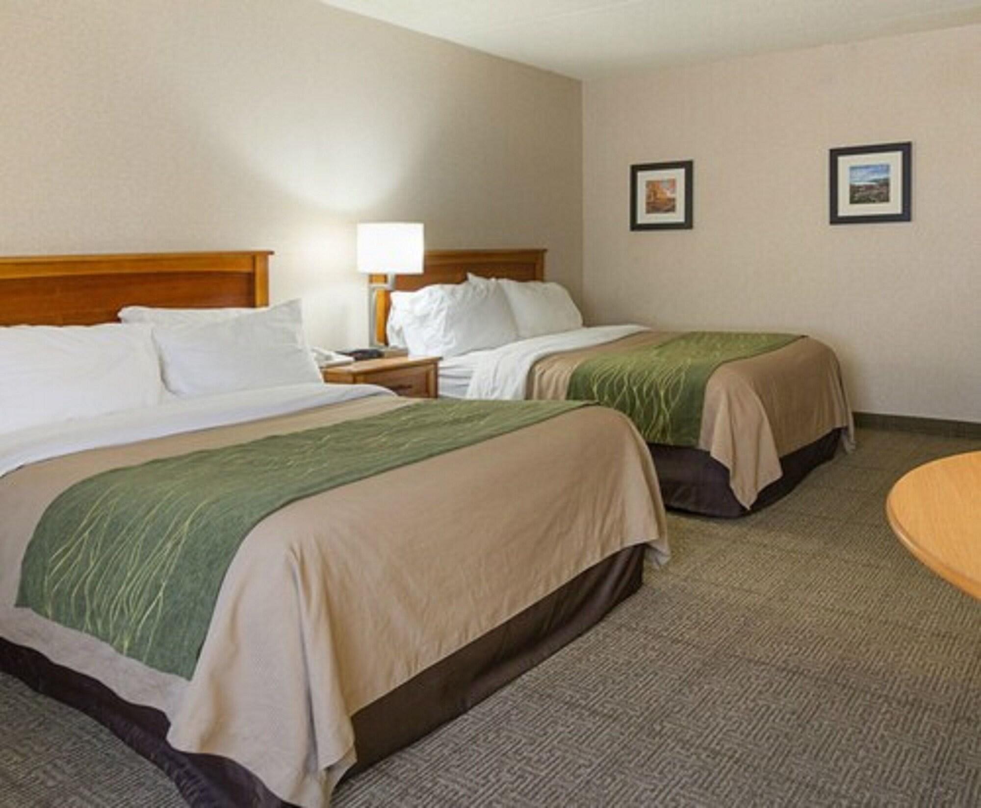 Comfort Inn & Suites Syracuse-Carrier Circle East Syracuse Exterior foto